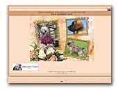Avenant Kennel