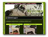 Ayelchen Dogos Argentinos