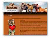 Baaroszero Shar Pei