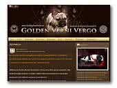 Golden Verni Vergo