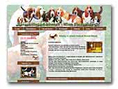 hodowla Klan Piegowatych - Basset Hound