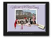 of the Benjy Bunch Bearded collie