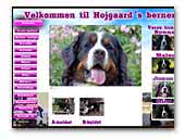 Hoejgaard's