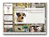 BestUNITED Parson- & Jack Russell Terrier