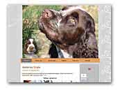 Bihija Kennel - English Springer Spaniel