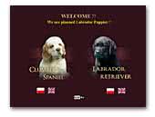 Black Dangerous Clumber spaniel