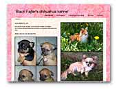 Black Fajter's chihuahua