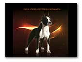 kennel 'Boldbuster'