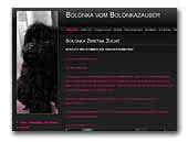 Bolonkazauber