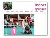 Bonda's specials