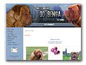 Kennel od Benga - Dogue de Bordeaux