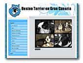 bostonterriercanarias.com