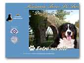 Dei Vecchi Condotti Kennel