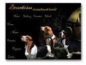 Breenbrass Basset Hound kennel 