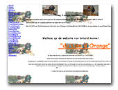 du Lion d'Orange briards