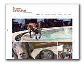 Brown Seduction - Flat Coated Retriever