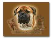 Panteley Grishin Syn Bullmastiff