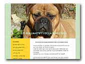 Elevage de Bullmastiff de la borde Riva