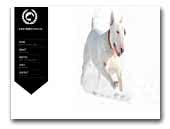 bullterriers.ro