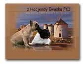 z Hacjendy Ewuska FCI