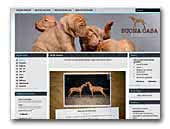 kennel Buona casa - Hungarian vizsla