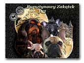 Bursztynowy Zakątek kennel