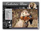 Caelestris Weim Kennel