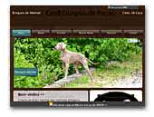 Kennel Campos de Paços - Weimaraners