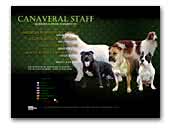 Canaveral Staff Kennel