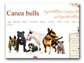 Kennel Canea bulls