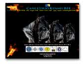 canecorsobih.com