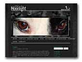 can't fight the Moonlight - Border Collies