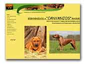 Canvanjos Cria exclusiva y familiar de Rhodesian Ridgeback