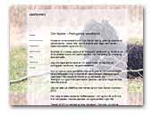 CaoMystery - Portugues waterdog