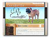 CasaBullfix