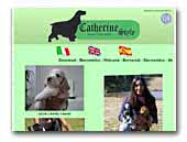Catherine Style Cocker Spaniel Inglese