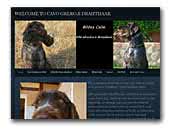 Cavo greko Drahthaar kennels