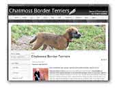 Chatmoss Border Terriers