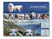 Du Grand Tendre Chien de Montagne des Pyrénées