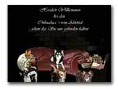 vom Alstertal Chihuahua