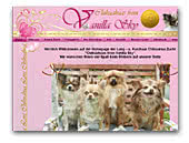 from Vanilla Sky Chihuahuas