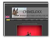 Chimeloxx Basenji och perro sin Pelo del Peru