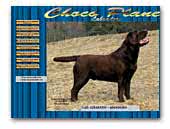 chocoplanetlabradors.es