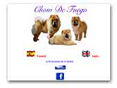 Chow De Fuego
