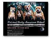 CNT-Pits