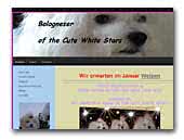 of the Cute White Stars Bolognese