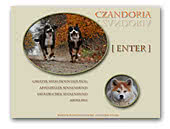 Czandoria FCI