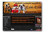 Buldog Angielski - Hodowla Czin-Czin
