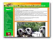 The Happiness of Peuch Breeding Dalmatian