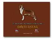 Danterstar American Staffordshire Terrier